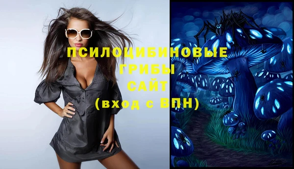 гашик Абаза