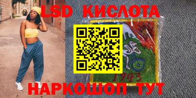 крисы Краснодар