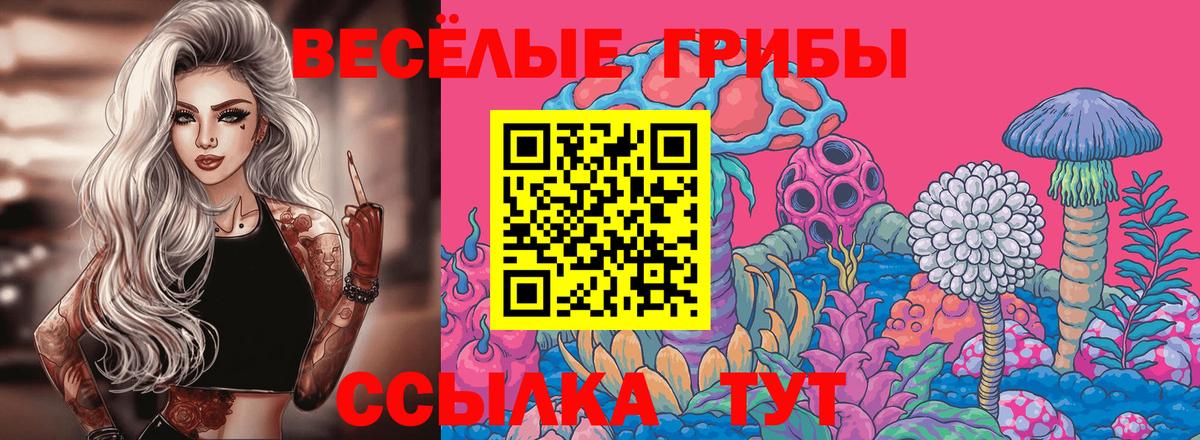Новокубанск  Псилоцибиновые грибы мухоморы  Псилоцибиновые грибы Cubensis  Вход с VPN 